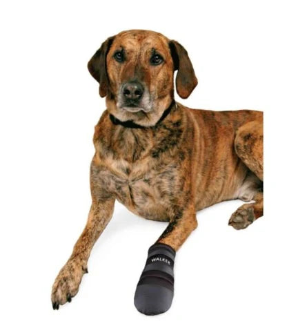 Trixie Walker Care Protective Boots for Dogs