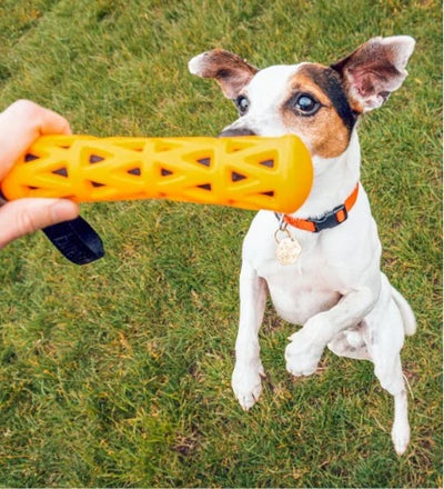 Ebi Bite Me 'Crack Me Up' Stick Sensory Dog Toy