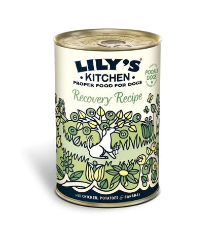 Lily's Kitchen Recovery Recipe Wet Dog Food