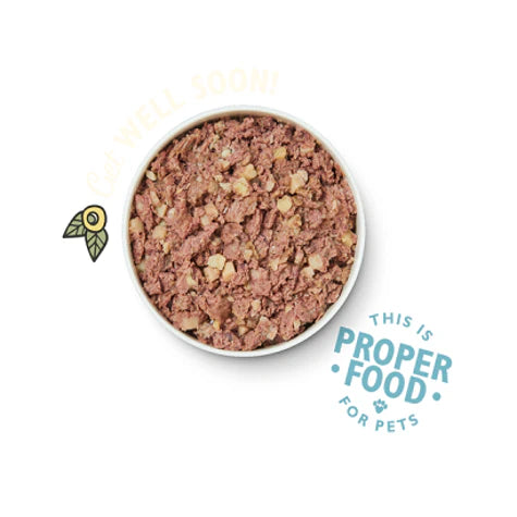 Lily's Kitchen Recovery Recipe Wet Dog Food