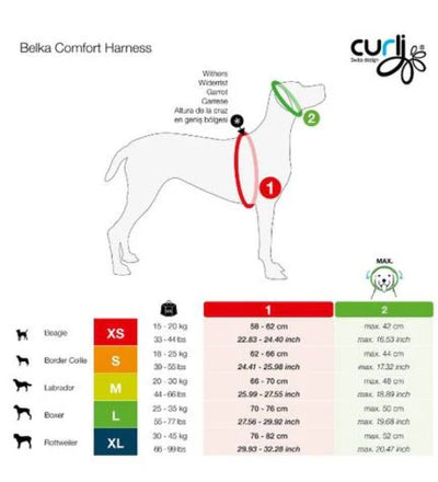 Curli Magnetic Belka Comfort Harness for Dogs