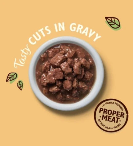 Lily's Kitchen Tasty Cuts Chicken Wet Cat Food