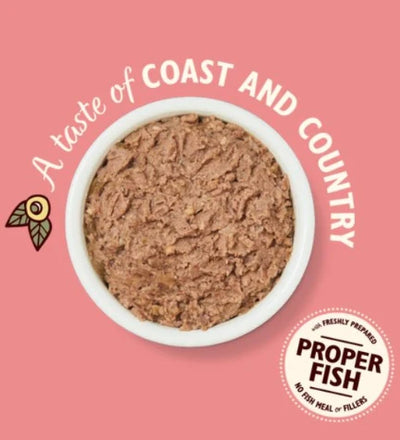 Lily's Kitchen Salmon & Chicken Pate Wet Cat Food