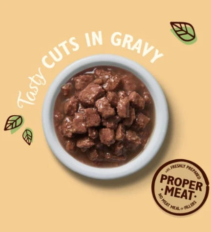 Lily's Kitchen Tasty Cuts in Gravy for Kittens Multipack