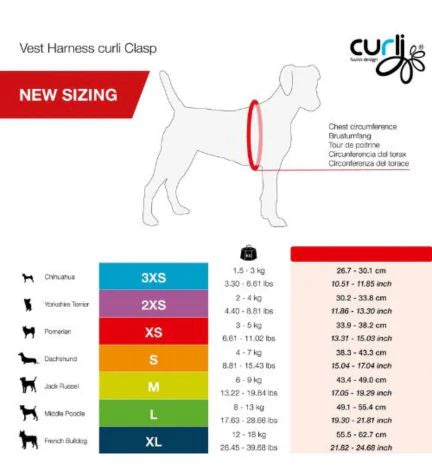 Curli Vest Harness with Curli Clasp Air Mesh & Leash for Dogs