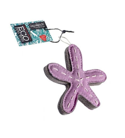 Green&Wilds Stanley the Starfish Toy for Dogs