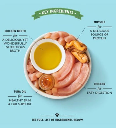 Lily's Kitchen Shredded Fillets Chicken & Mussels in Broth Wet Cat Food