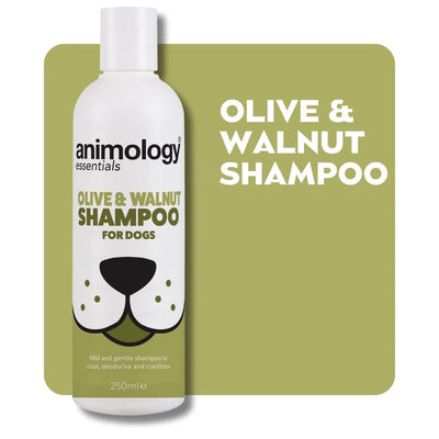 Animology Essentials Olive & Walnut Dog Shampoo 250ml