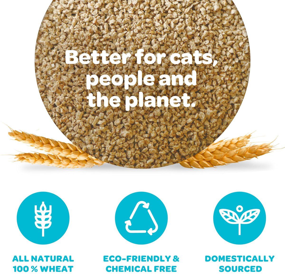 sWheat Scoop Original All Natural Wheat Blend Fast Clumping Cat Litter