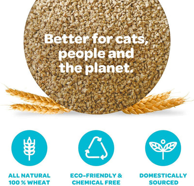 sWheat Scoop Original All Natural Wheat Blend Fast Clumping Cat Litter