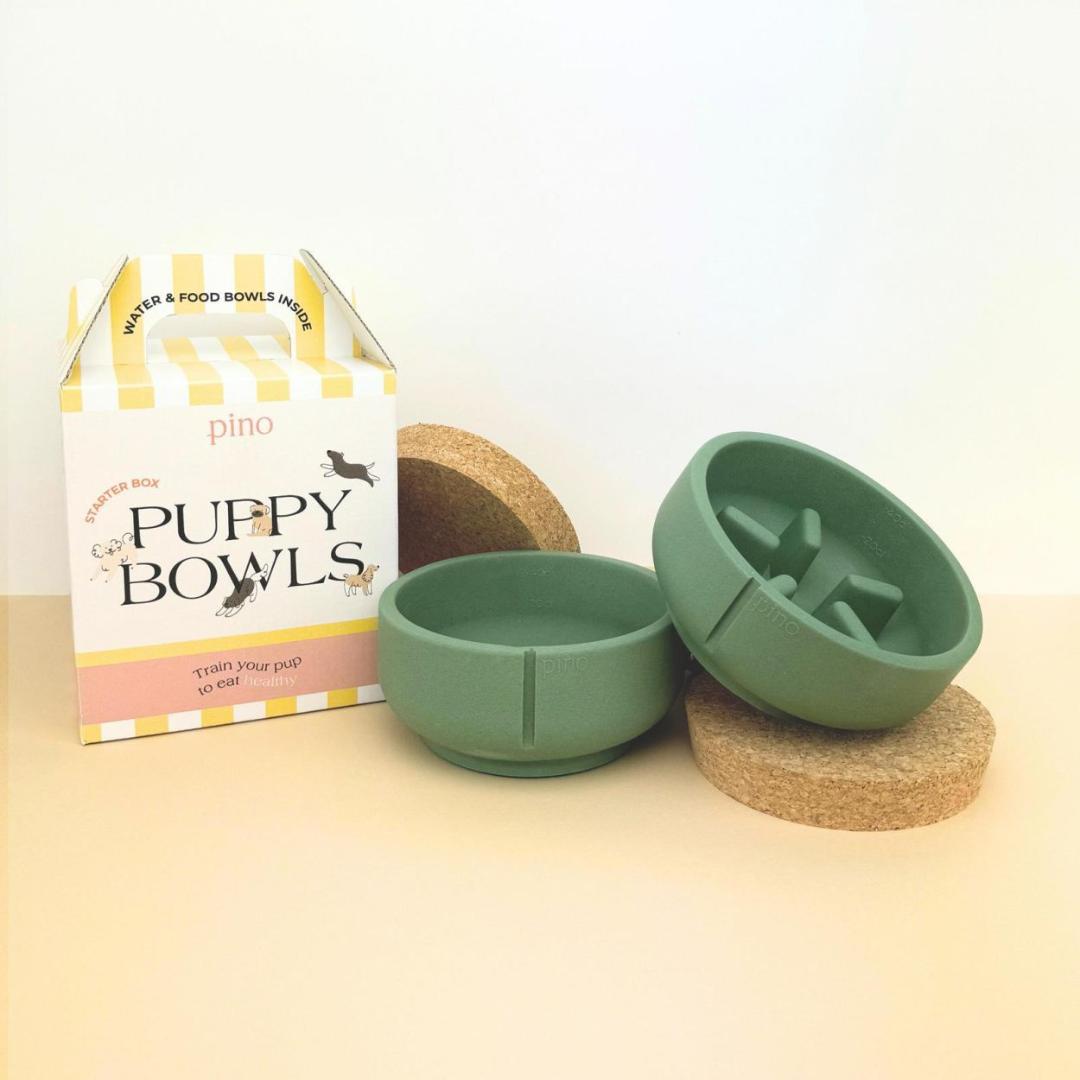 Pino Puppy Box Feeder Duck Green/Small